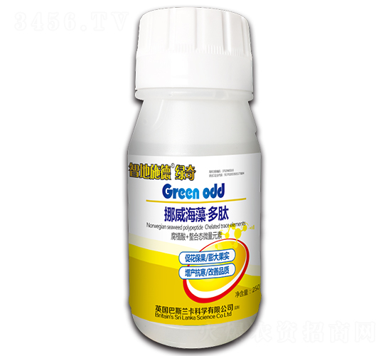 Ų�����塤����-�ǵ�ʩ��-�|��