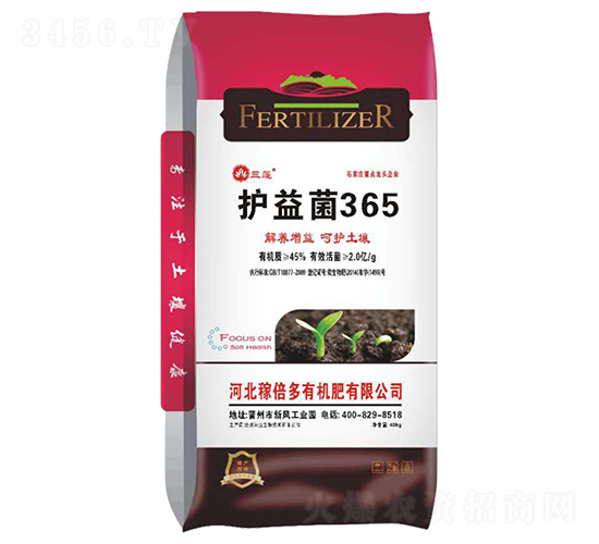 �o���365-��ɏ