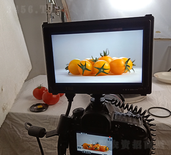 ˼�����(chu��ng)���ҕ�l�Ĕz