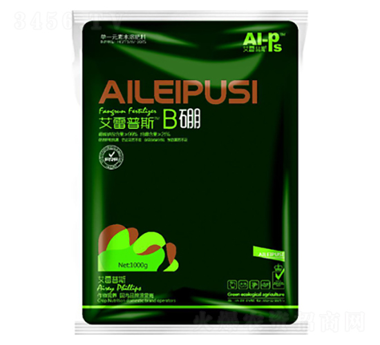 B��-������˹-����