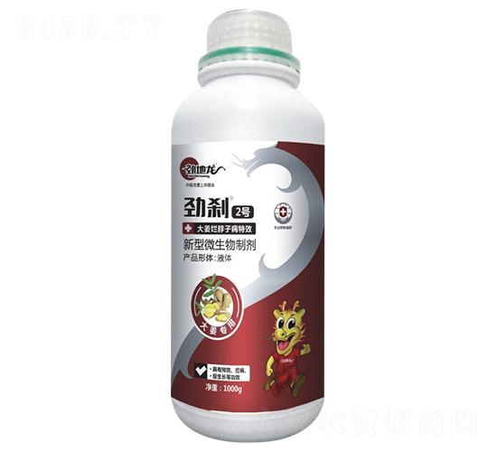 �ńx2̖���󽪠����Ӳ���Ч��-�ŵ���