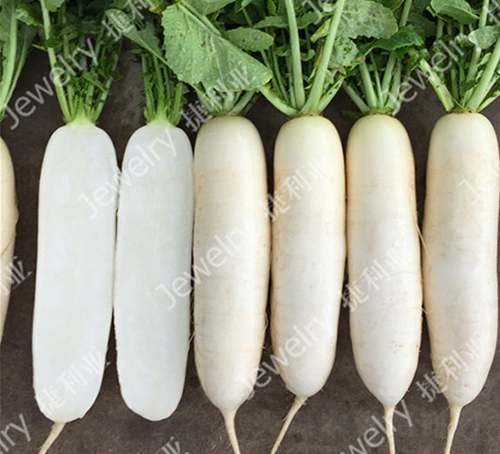 ������50-�}���N��-������