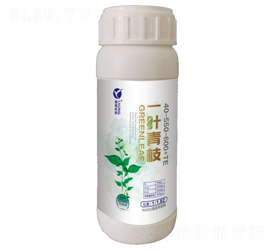 һ�~��֦-�A�˱���