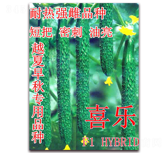 ϲ��(l��)-�S�ϷN��-��ʢ�r(n��ng)�I(y��)