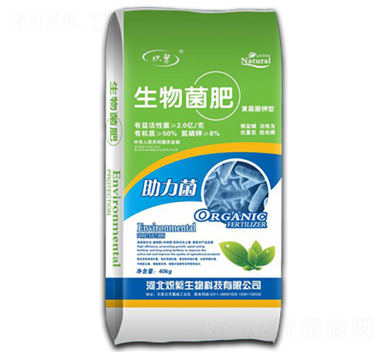 �������-�뷱����