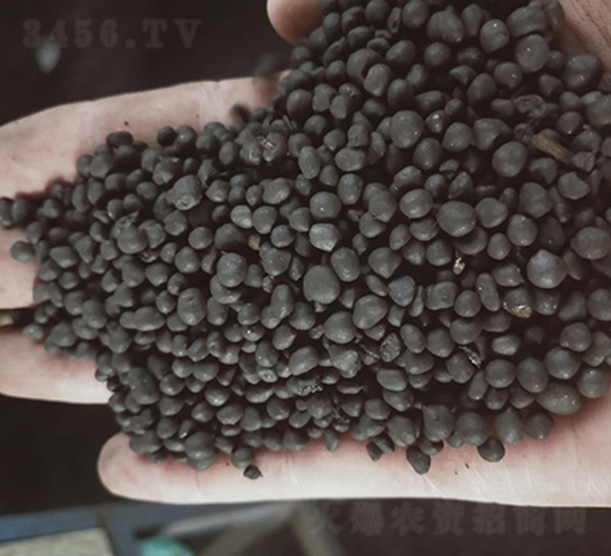 �ЙC(j��)���ϣ��w����-���|�ʘI(y��)