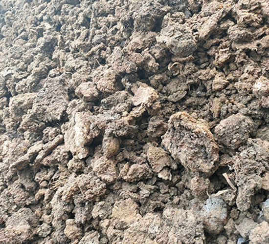 ���i�S-���|�ʘI(y��)