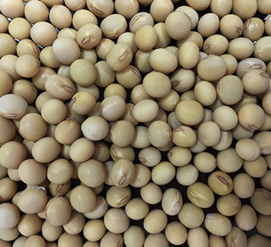 ���r8̖-�󶹷N��-�|��