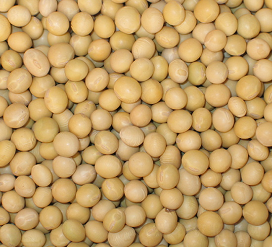 �|��1̖(h��o)-�󶹷N��-�|��