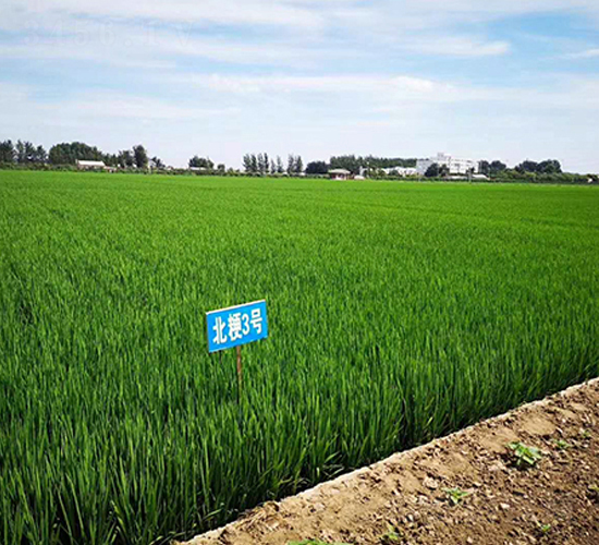 ����3̖(h��o)-ˮ���N��-�|��