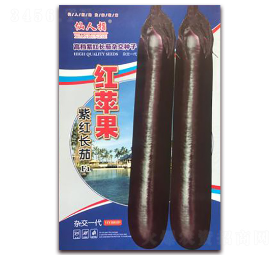 �t�O��-���ӷN��-�A�~