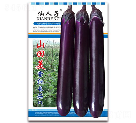 山田美紫紅長(zhǎng)茄-茄子種子-華葉