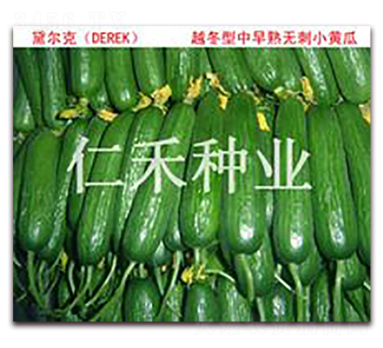 ������DAER��-�S�ϷN��-�ʺ̷N�I(y��)