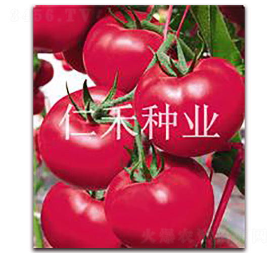 �K�ƣ�SOPHIE��-�۹����ѷN��-�ʺ̷N�I(y��)