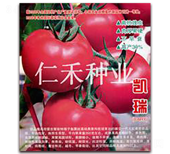 �P��CARY��-�۹����ѷN��-�ʺ̷N�I(y��)