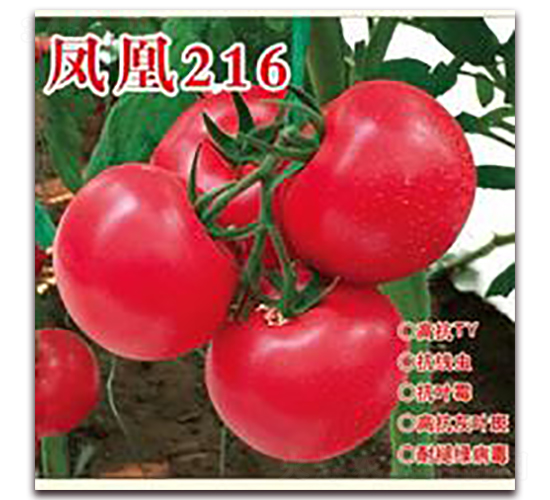 �P��216-�۹����ѷN��-�ʺ̷N�I(y��)