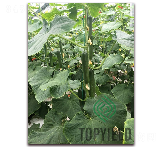 �Ã�1̖-�S�ϷN��-�S�ǷN�I(y��)