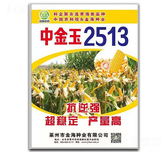 中金玉2513-玉米種子-金海農(nóng)創(chuàng)