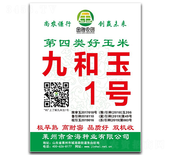 九和玉1號-玉米種子-金海農(nóng)創(chuàng)