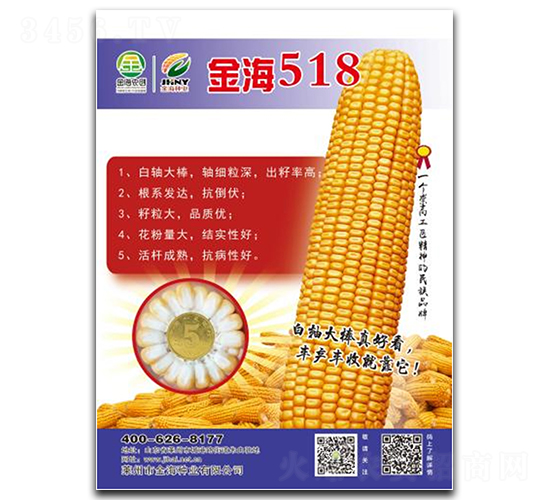 金海518-玉米種子-金海農(nóng)創(chuàng)