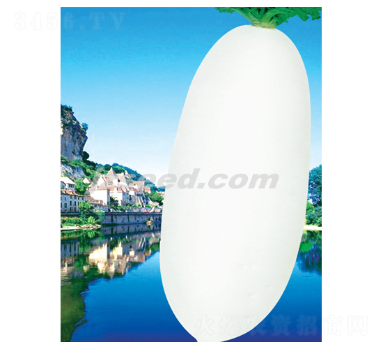 ���x������-�}���N��-�F(xi��n)���N�I(y��)