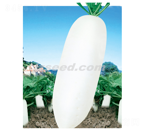 ���x���~ʮ��-�}���N��-�F(xi��n)���N�I(y��)