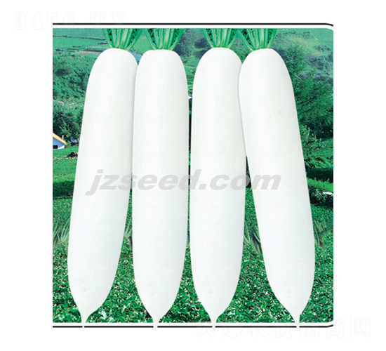 �h�׽�-�}���N��-�F(xi��n)���N�I(y��)