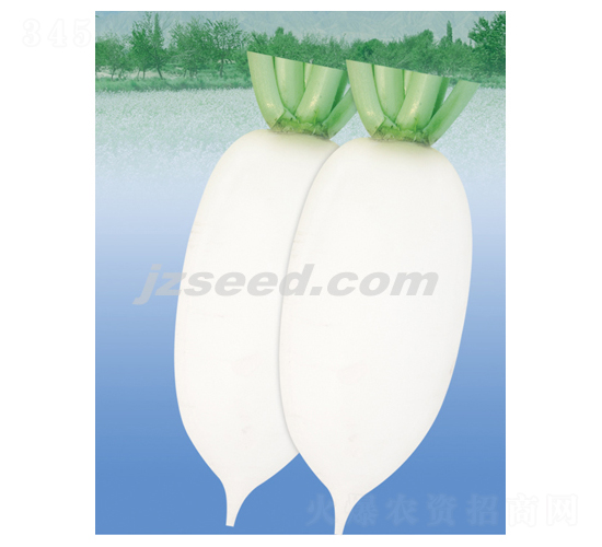 ���@ؕƷ-�}���N��-�F(xi��n)���N�I(y��)