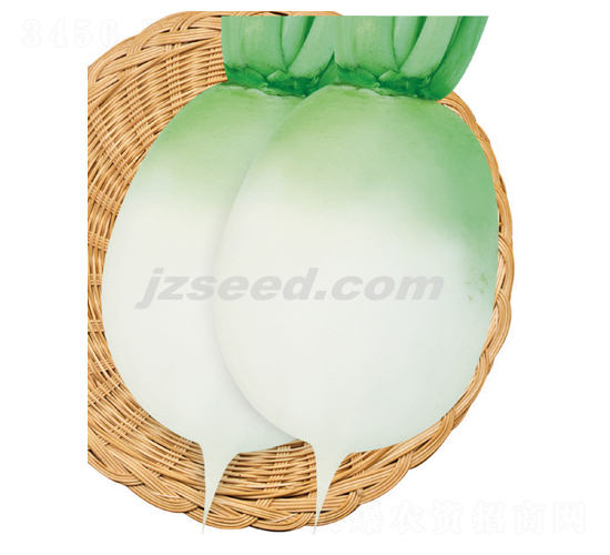 ���@ɰ��-�}���N��-�F(xi��n)���N�I(y��)