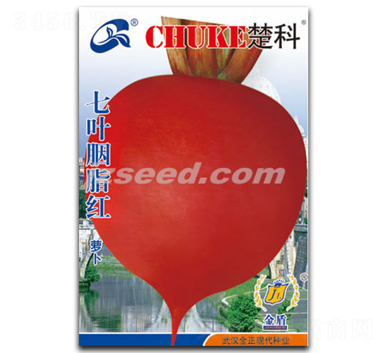 ���~��֬�t-�}���N��-�F(xi��n)���N�I(y��)