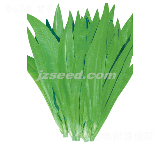 ̩������o��������-�����˷N��-�F(xi��n)���N�I(y��)