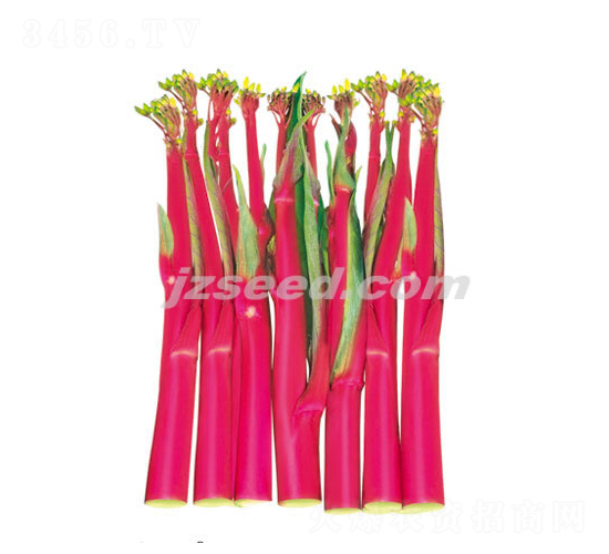 ���tһ̖-��޷�N��-�F(xi��n)���N�I(y��)