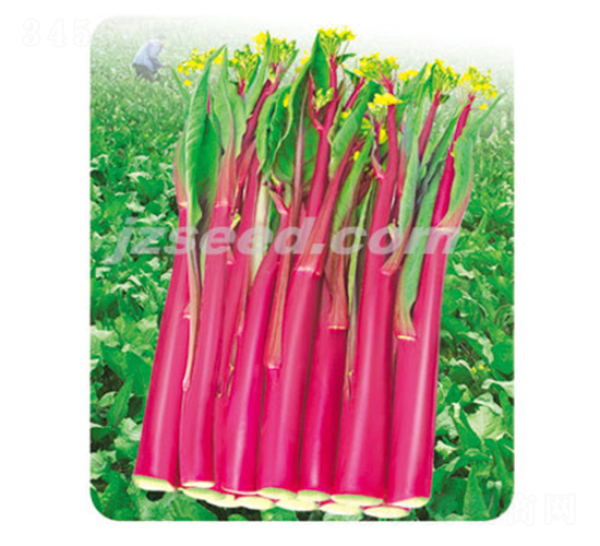 ��ݿ��̖-��޷�N��-�F(xi��n)���N�I(y��)