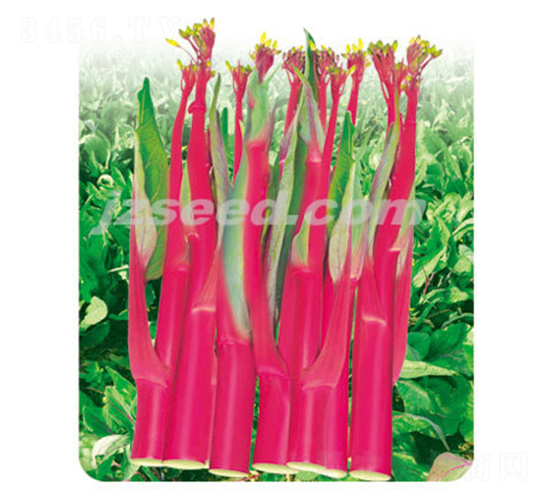 ��ݿ��̖-��޷�N��-�F(xi��n)���N�I(y��)