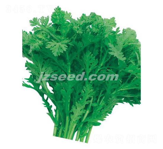 ���㻨�~����-����N��-�F(xi��n)���N�I(y��)