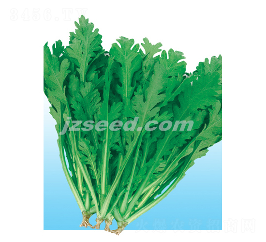 ��ջ��~����-����N��-�F(xi��n)���N�I(y��)