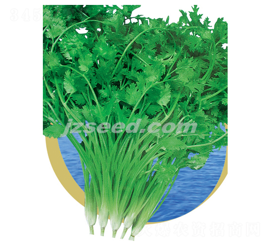 �ă�(y��u)�ļ��ͳ�ܾݴ-ܾݴ�N��-�F(xi��n)���N�I(y��)