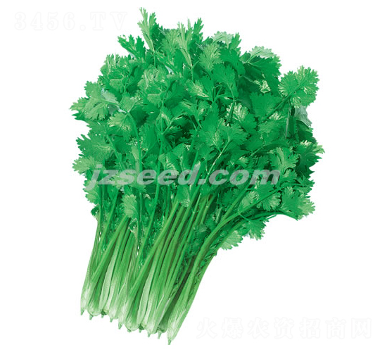 ����369-ܾݴ�N��-�F(xi��n)���N�I(y��)