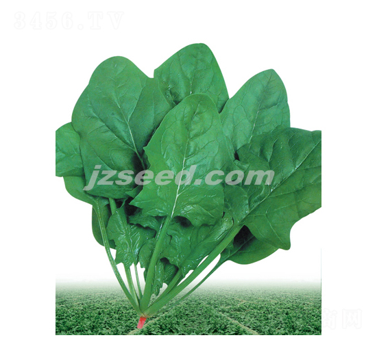 ��������-���˷N��-�F(xi��n)���N�I(y��)