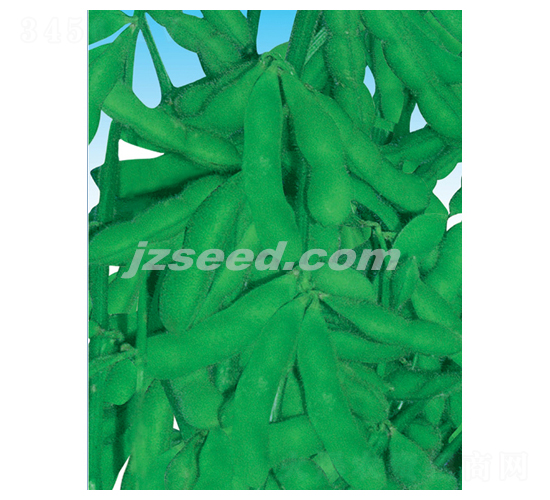 ���rһ̖(h��o)-ë���N��-�F(xi��n)���N�I(y��)