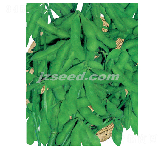 ���r��̖(h��o)-ë���N��-�F(xi��n)���N�I(y��)