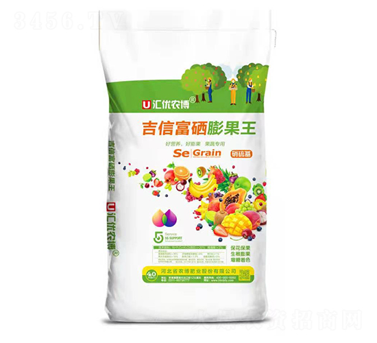 ���Ÿ��������-�r���ʘI(y��)