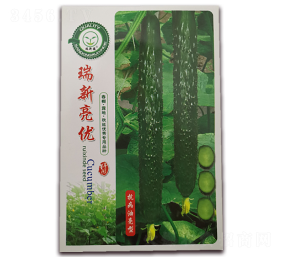 ��������(y��u)-�S�ϷN��-�|���S