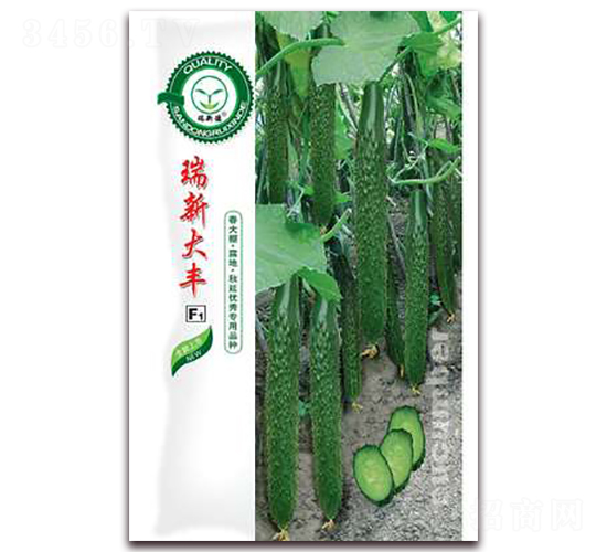 ���´��S-�S�ϷN��-�|���S