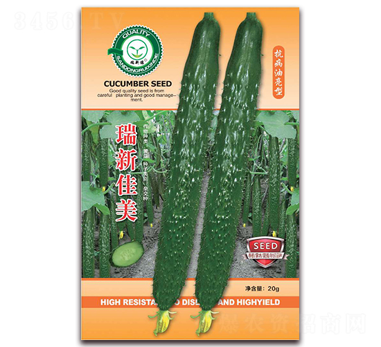 ���¼���-�S�ϷN��-�|���S