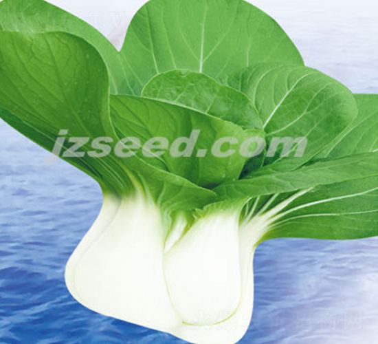 ���r(n��ng)�ذ���-С�ײ˷N��-�F(xi��n)���N�I(y��)