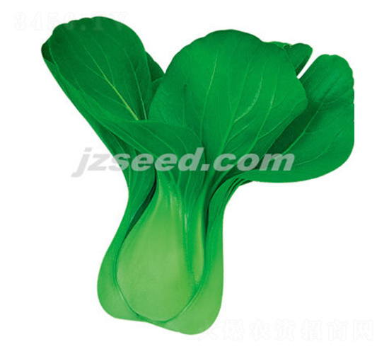 ����22-С�ײ˷N��-�F(xi��n)���N�I(y��)