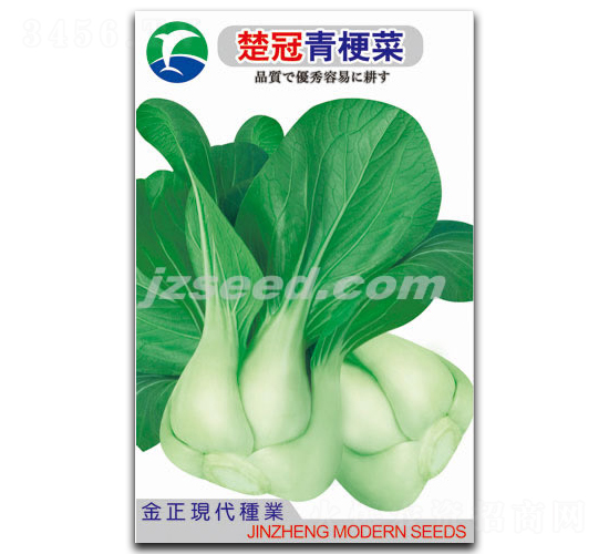 楚冠青梗菜-小白菜種子-現(xiàn)代種業(yè)