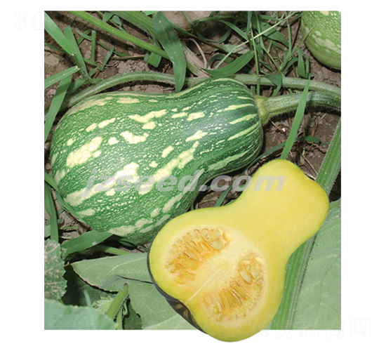 ���һ̖-�ϹϷN��-�F���N�I(y��)