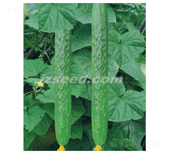 �n��ʮ��-�S�ϷN��-�F(xi��n)���N�I(y��)